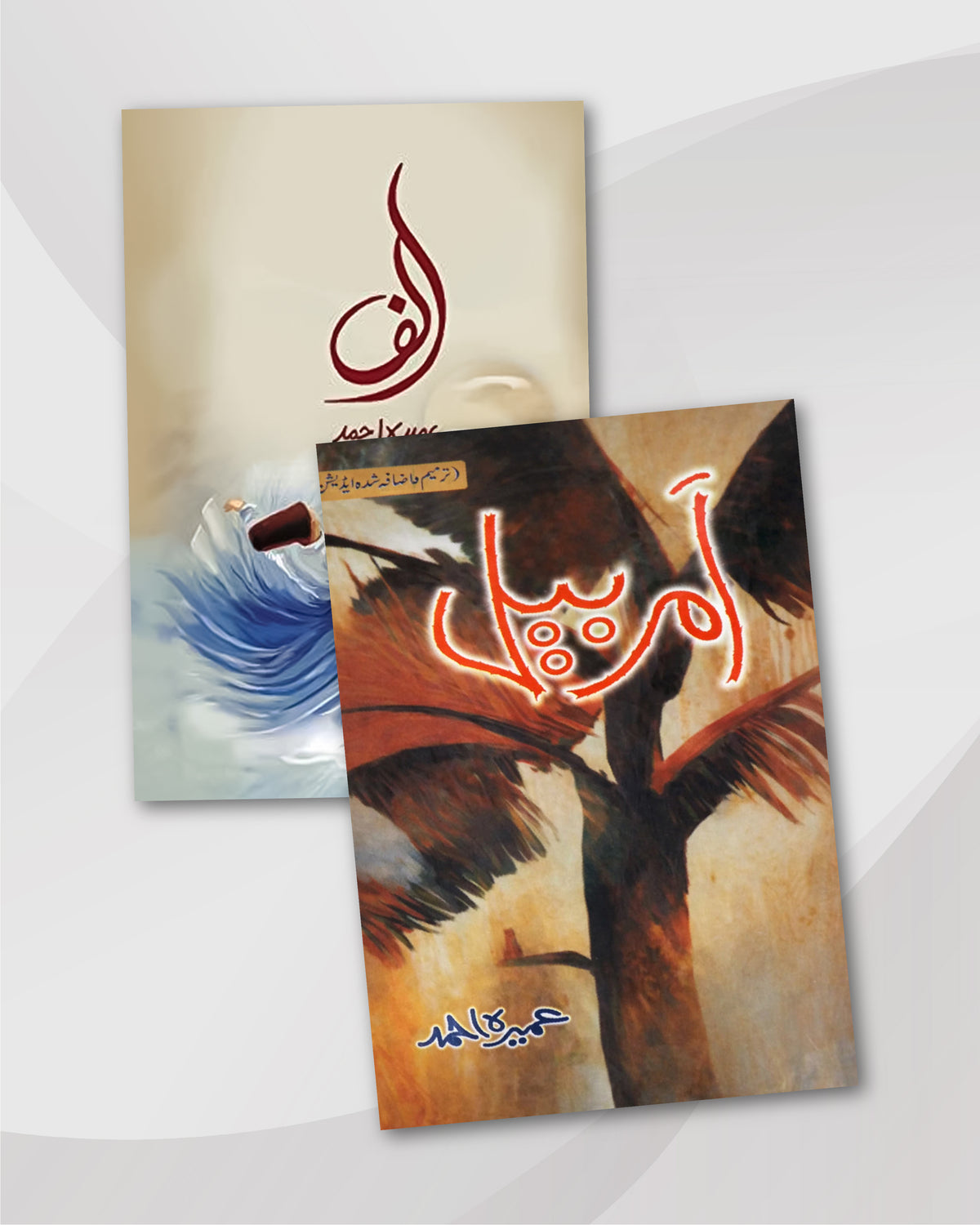Alif & Amar Bail by Umera Ahmed: Urdu Novels Combo